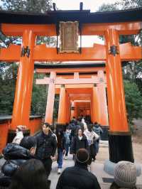 京都一日遊行程：清水寺 & 伏見稻荷大社