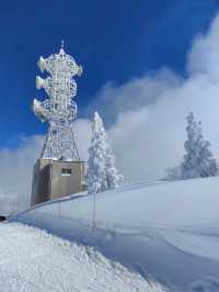 Nozawa Onsen Snow Resort