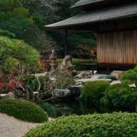 ～舞鶴公園～沉淀在時光中的靜謐～