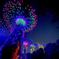 【新加坡旅遊】Supertree Grove🌳｜白天看感覺沒甚麼 晚上點燈卻超漂亮