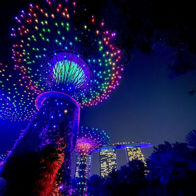 【新加坡旅遊】Supertree Grove🌳｜白天看感覺沒甚麼 晚上點燈卻超漂亮
