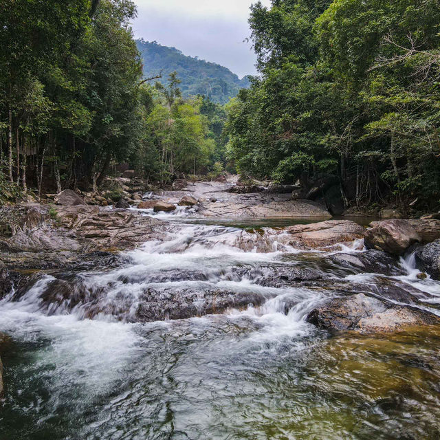เกาะกลางโตนแพรทองแค้มปิ้ง 
