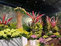 台南後壁-亞太蘭花會議暨台灣國際蘭展 Orchid Show 