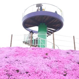 Hidden Gem of Geochang Changpowon, Embrace Nature