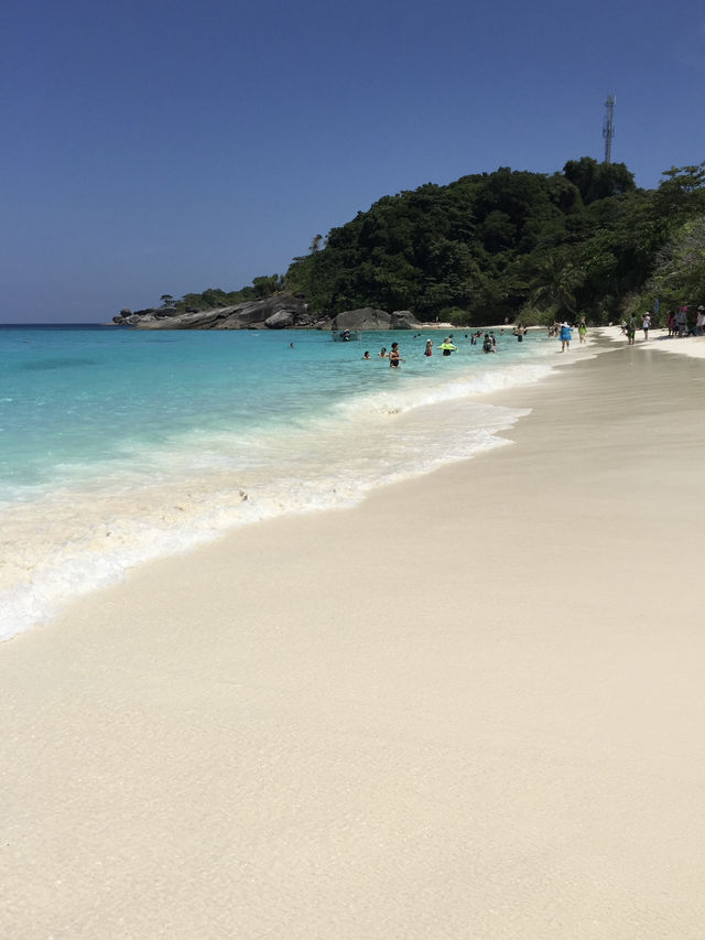 เกาะสิมิลัน น้ำใสทะเลสวย ดำน้ำฟินสุด