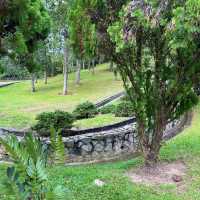 【都市的魔幻綠洲🌳安康公園】