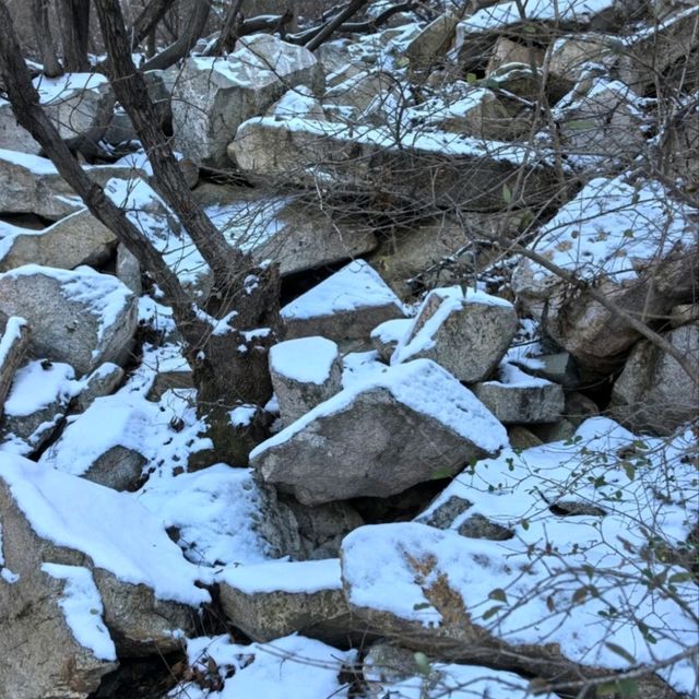 雪參時間膠囊庫