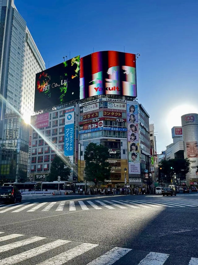 霓虹燈下的城市交響曲