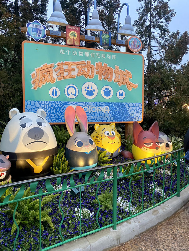 🦊 전 세계 디즈니랜드 중 유일한  ‘주토피아’🐰