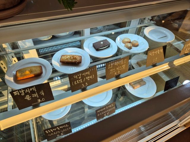 강원도 원주 신상 카페산책