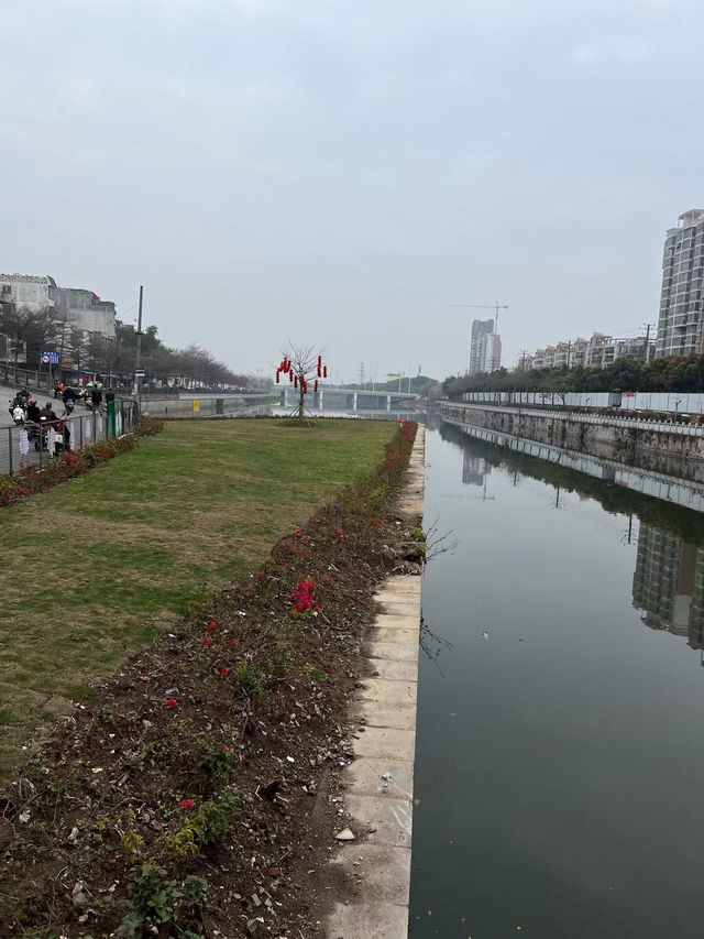 玉林之旅：在煙火氣息中尋找生活的詩意