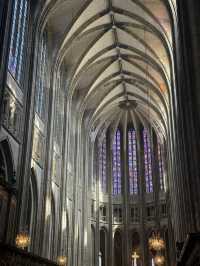 【入場無料💰👀】知る人ぞ知る名建築⛪️オルレアン・サントクロワ大聖堂✨