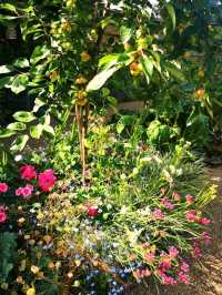 Martineau Gardens