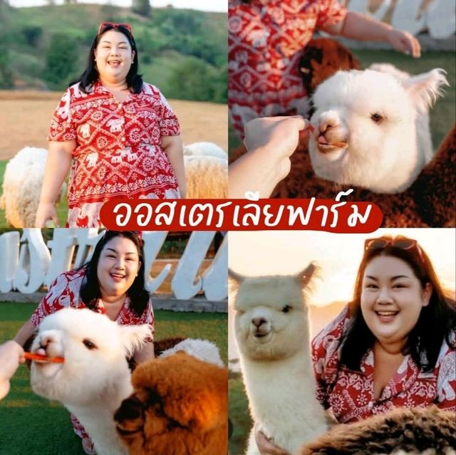มัดรวมคาเฟ่ จังหวัดเชียงราย