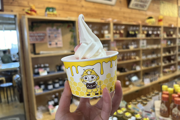 岐阜🇯🇵みつばちの郷🐝 | Trip.com 養老町