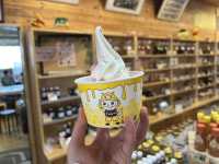 岐阜🇯🇵みつばちの郷🐝