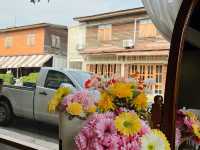 Cafe อัพเดต Uthaithni