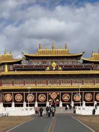 Discover the rich culture of Tibet Monasteries
