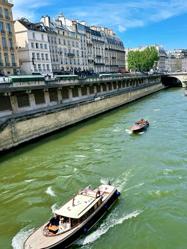 Seine Riverside: A Symphony of Movement