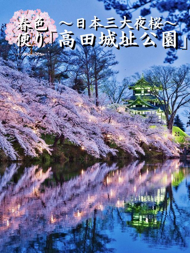 【新潟】行かなきゃ損‼️日本三大夜桜の１つ✨夜桜が水面に浮かぶ幻想世界🌸