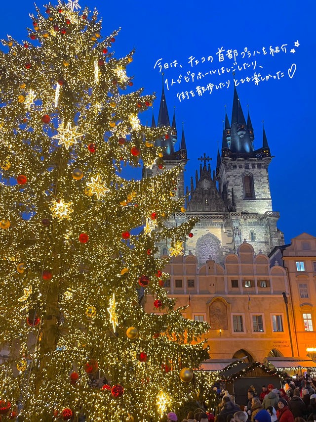 プラハのオススメ紹介🇨🇿