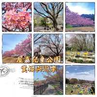 屋嘉兒童公園·賞櫻與遊樂樂趣