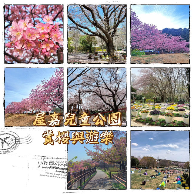 屋嘉兒童公園·賞櫻與遊樂樂趣
