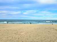 서울에서 가장 가까운 동해바다!🏖