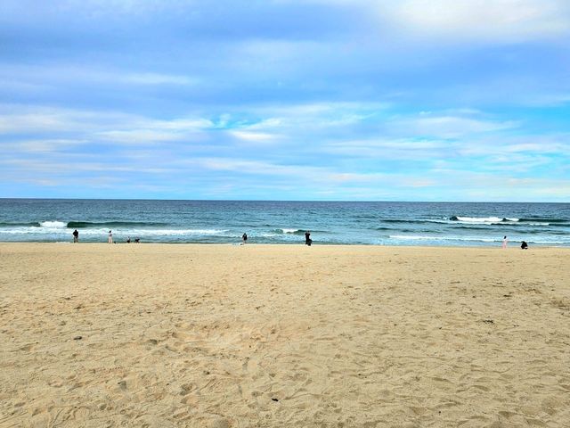 서울에서 가장 가까운 동해바다!🏖