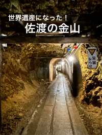 【新潟】江戸政府の財政を支えた佐渡金山