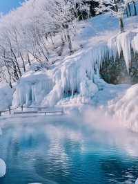 青森の雪景色に圧倒された。7日間6泊の余韻がすごすぎる！