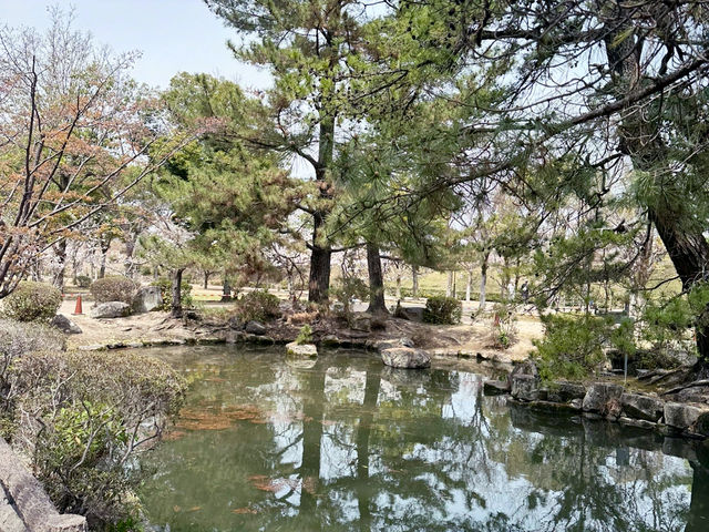 滿山遍野的櫻花城～姬路城❤️