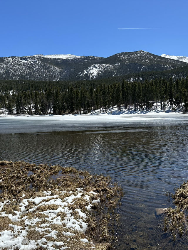 Beautiful hike by the lake in Spring!