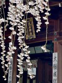 The Stunning Weeping Cherry Blossoms of Oishi Shrine