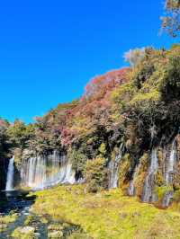 水のベールに包まれて。神秘の絶景、白糸ノ滝で心洗われるひととき