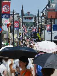 海と歴史を満喫！夏の湘南・鎌倉旅スナップ