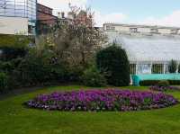 Step Into Spring at the Palm House, Belfast