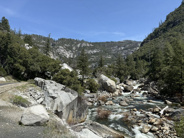 Grateful for a Spring Escape to Yosemite
