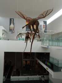 Discovering the Ulster Museum in Belfast