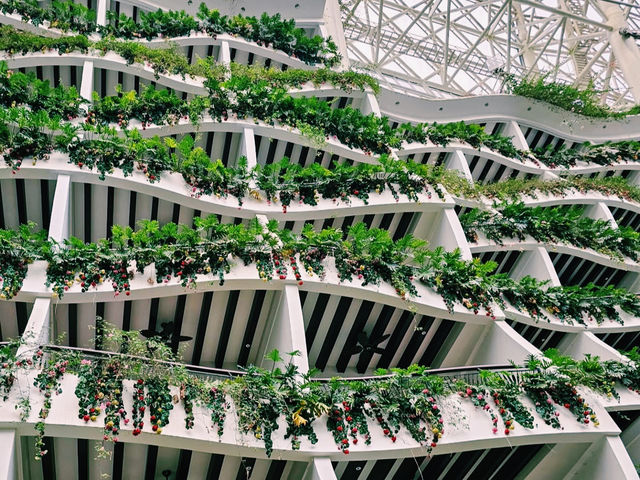 🇨🇳:成都 世界最大級の建物で遊び尽くすアーバンリゾート体験！