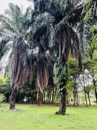 Taman Wawasan Recreational Park: A Serene Green Escape with Sustainability at Heart