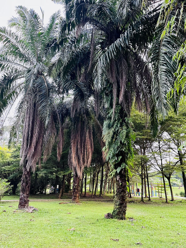 Taman Wawasan Recreational Park: A Serene Green Escape with Sustainability at Heart