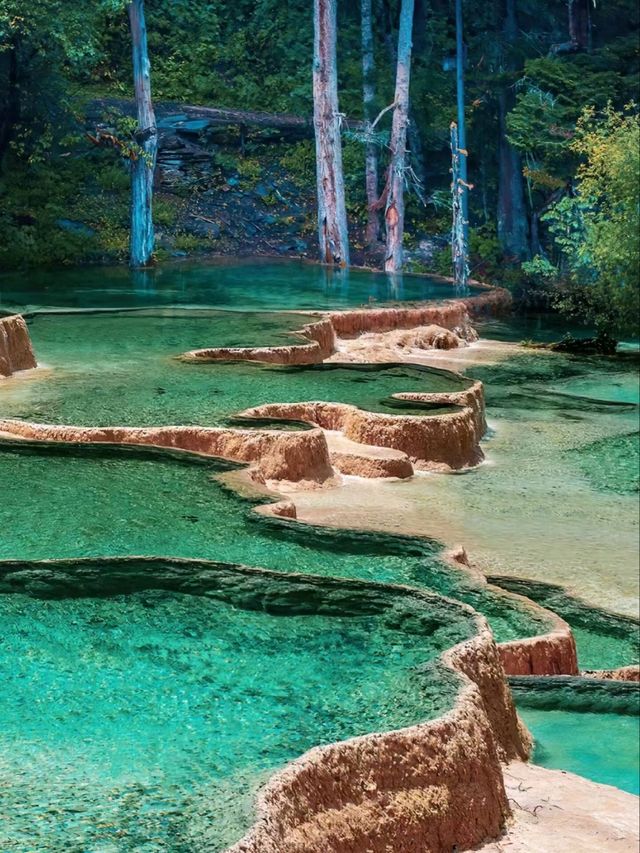 Discovering Huanglong: Layers of Color, Moments of Peace