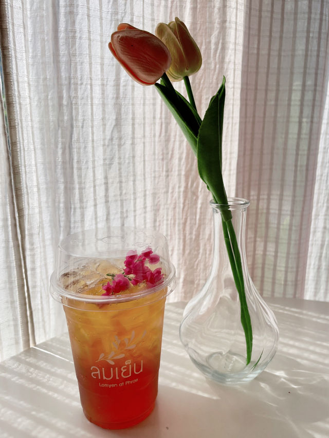 คาเฟ่ลมเย็น อ.สูงเม่น ☕🌬️
