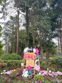 台北大森林公園｜城市裡的秘密花園