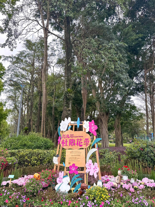 台北大森林公園｜城市裡的秘密花園