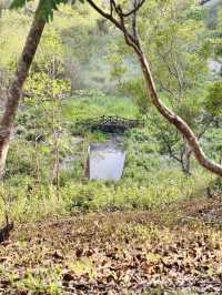 牛埔泥岩水土保持教學園區：從月世界到夢幻綠洲的奇幻旅程