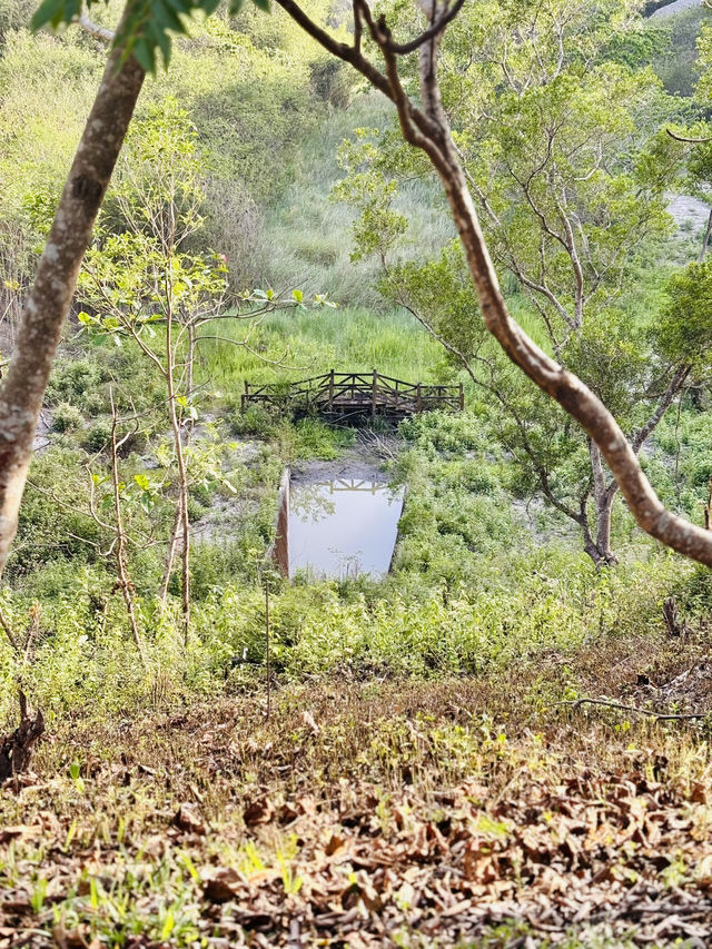 牛埔泥岩水土保持教學園區：從月世界到夢幻綠洲的奇幻旅程