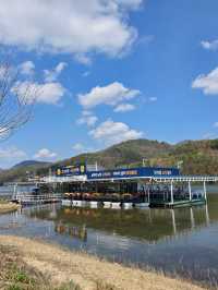 Chasing Cherry Blossoms: The Magic of Nami Island