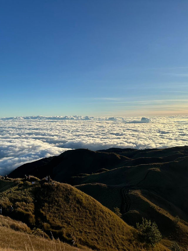 Sea of Clouds in the Morning Light